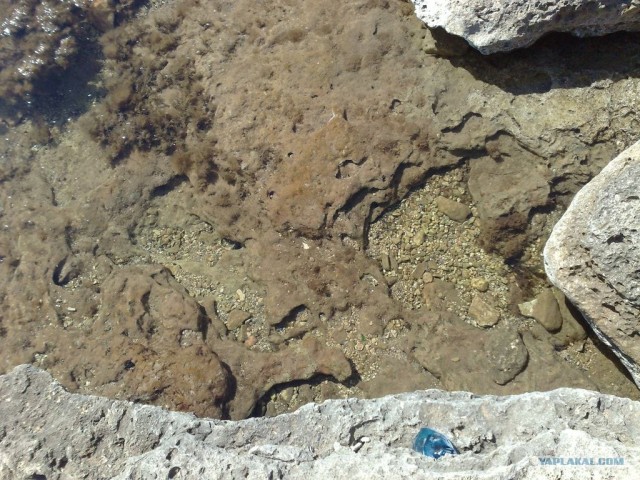 Мыс Тарханкут - самая западная точка Крыма.