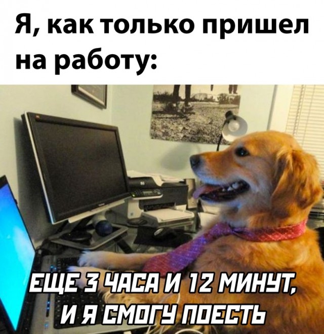 Картинки и мемы для настроения - 21