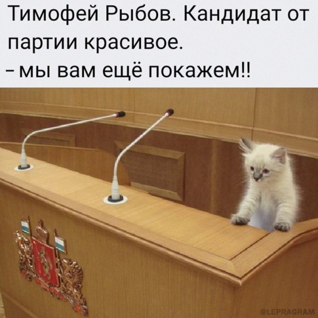 Картинки и мемы. Выходные близко...