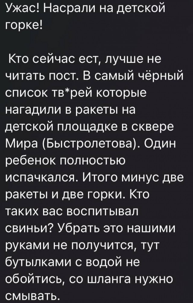 Тем временем в Симферополе произошла настоящая диверсия — кто-то насрал прямо внутрь детской горки