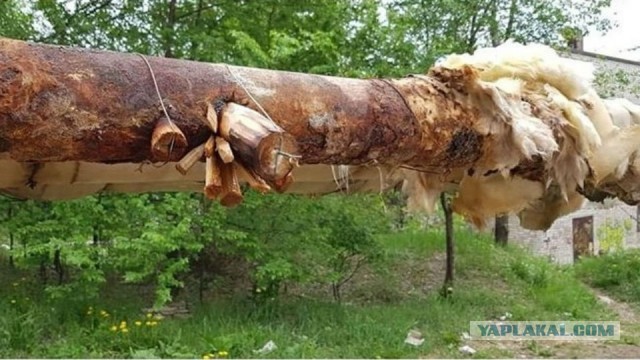 Долго такое прослужит?