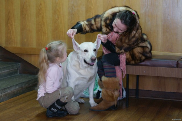 Новый год в Польше