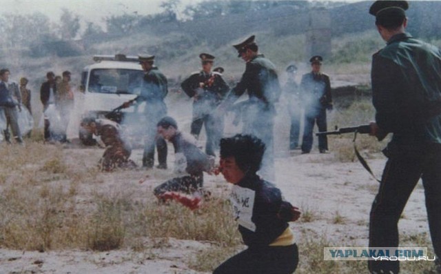 Наши налоги на закупку золотых видеофиксаторов