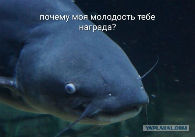 Сколько любовников должно быть у женщины после 50?