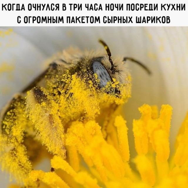 Картинки и мемы, всяко разно - 183