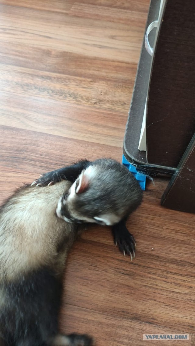 А у меня сегодня утро началось не с кофе..