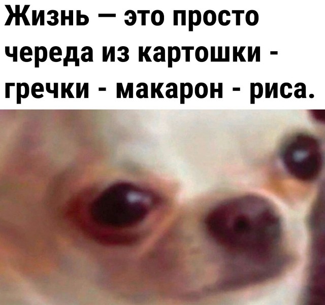 Так себе картинки 27.08.23