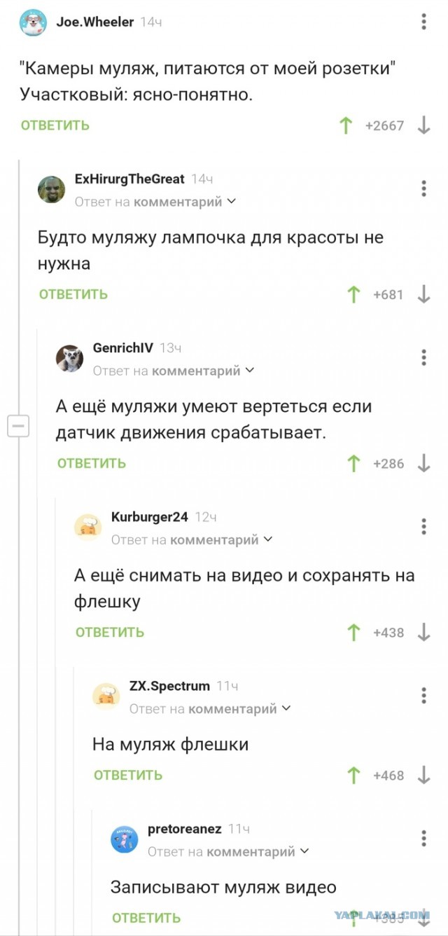 MyDuck ли я?⁠⁠