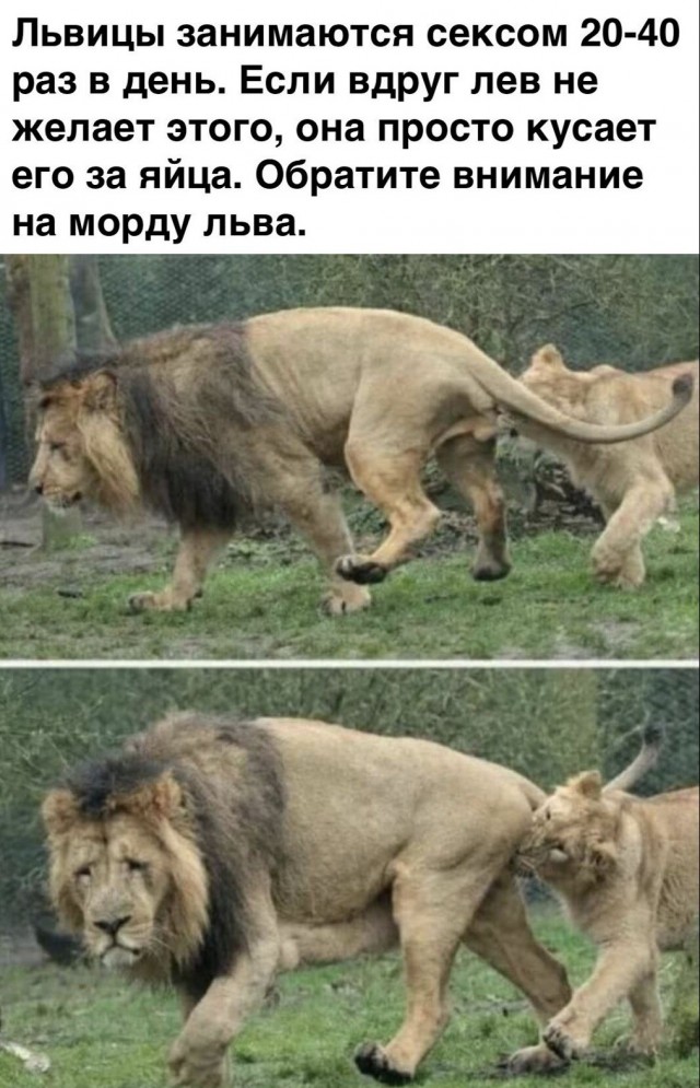 Недопятница 09-11-2023