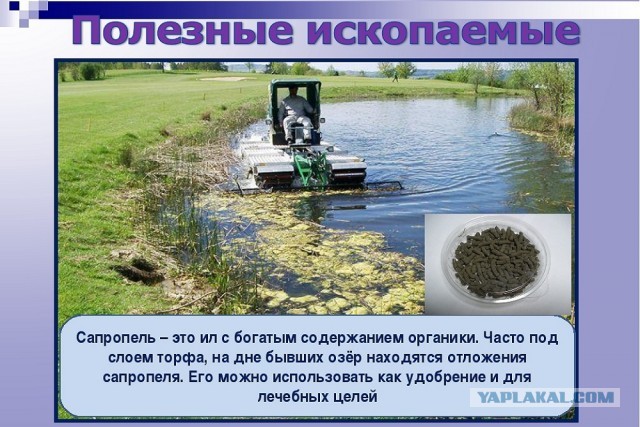 Как чистят реки…