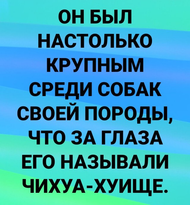 Забавные комментарии из социальных сетей (20.11.23)