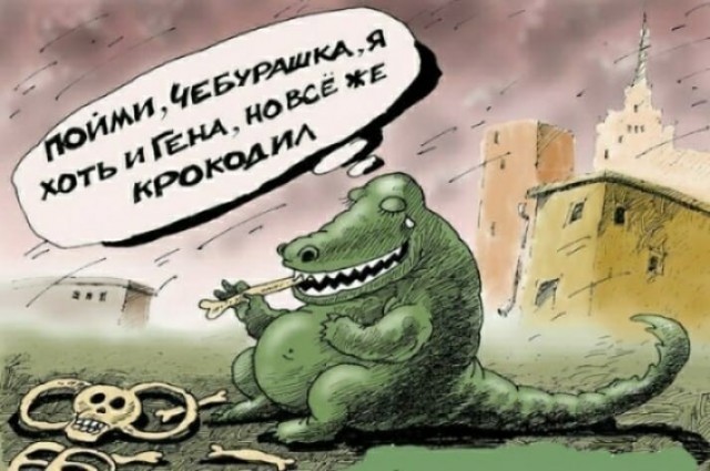 Какой-то странный у них кот