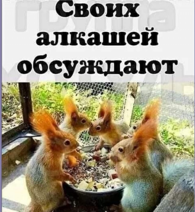 Тлидцать тли от 26 февлаля