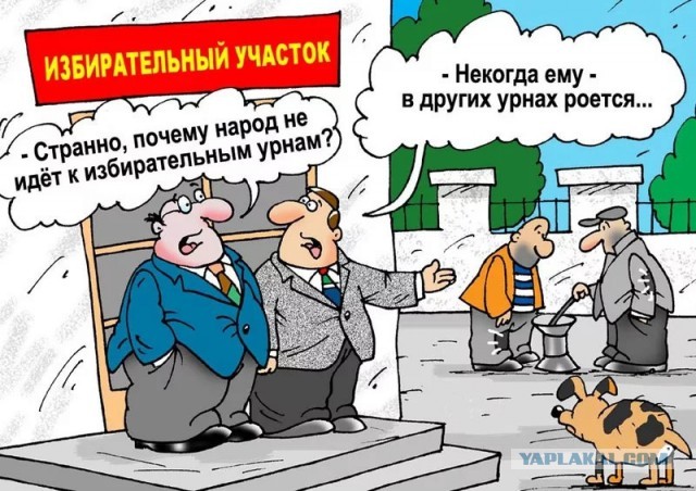 Началось голосование!