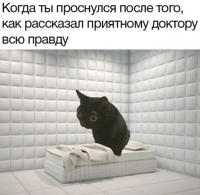 Так себе картинки 19.05.24