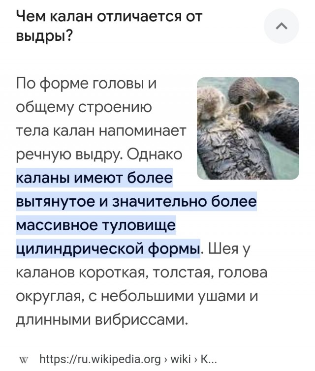 Посетитель зоопарка в Китае уронил телефон в вольер с выдрами и расстроился дважды