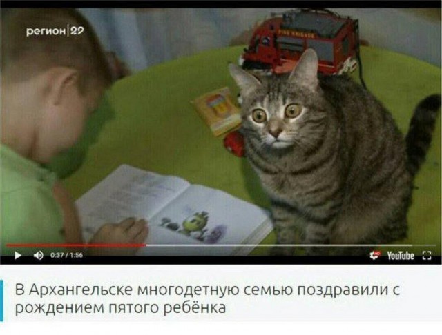 Нуштош 12.09.2024