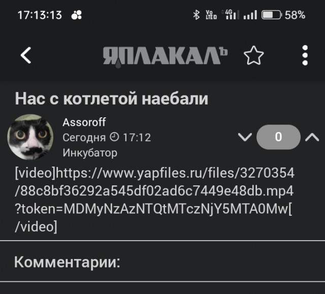 Нас с котлетой налюбили