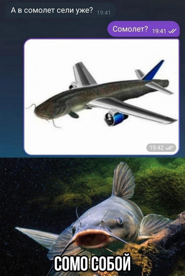 У меня муж дома