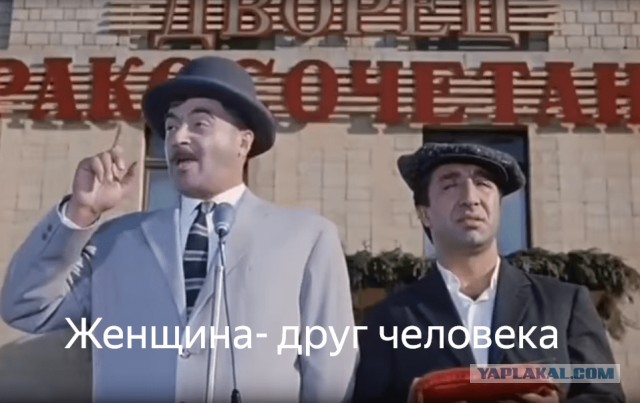 Чем занимаются жены арабских шейхов