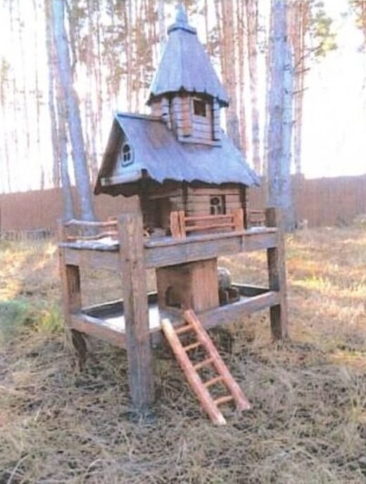 В Сургуте власти решили вложить ₽800 000 в кормушки для белок