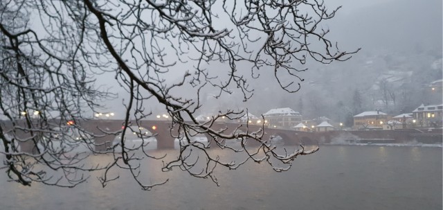 Разбавим политоту и жесть природой