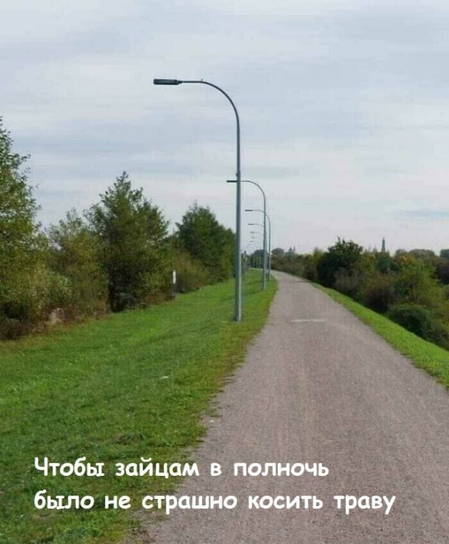 Юмор в картинках за пол дня и клуб приемных детей