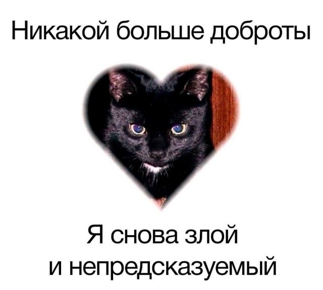 Так себе картинки 20.07.25