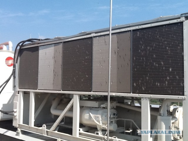 Погодный беспредел в Кривбассе