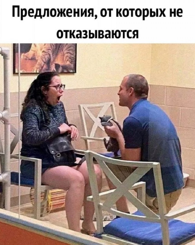 Так себе картинки 26.11.25