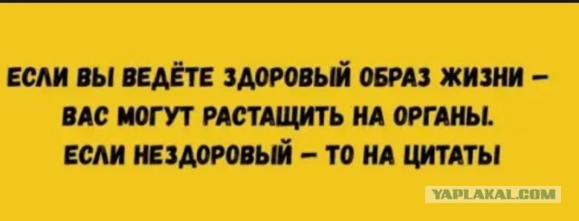 Картинки для деградации 106 (разной степени свежести)