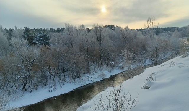 Новогоднее настроение.