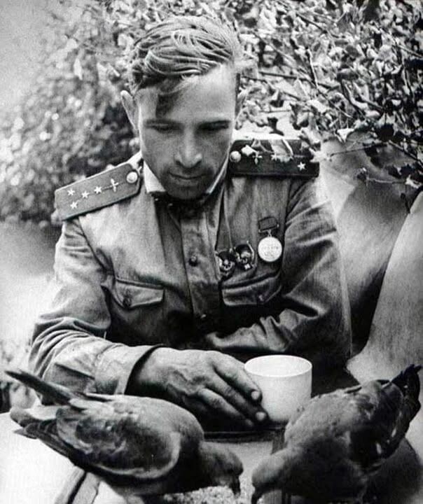 Летчик с голубями. Май 1943 г.