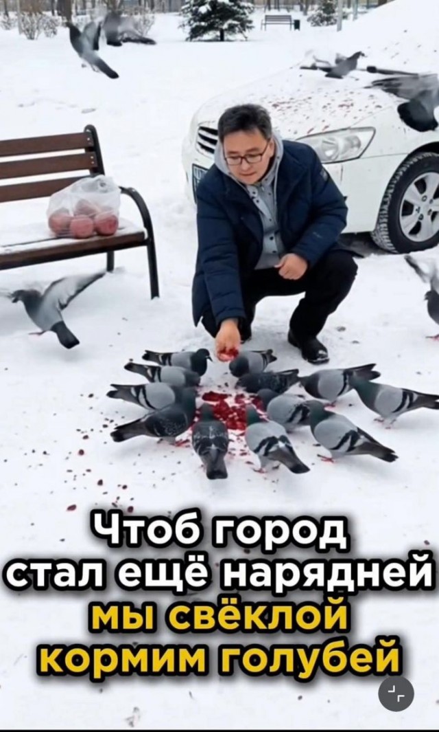 Субботние картинки