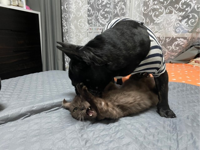 И так ...Вторник