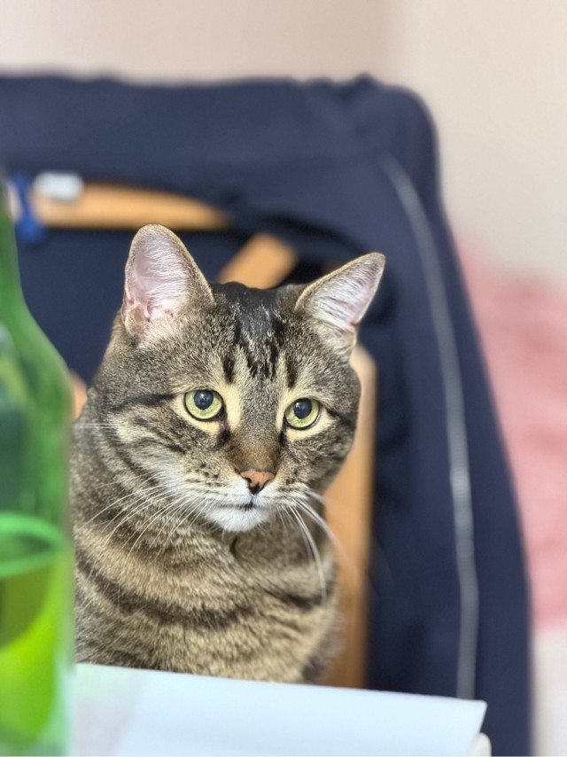 Пусть будет рыбосреда, если позволите