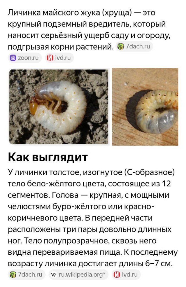 ДНК-тест