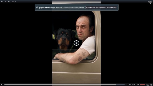 Gta V