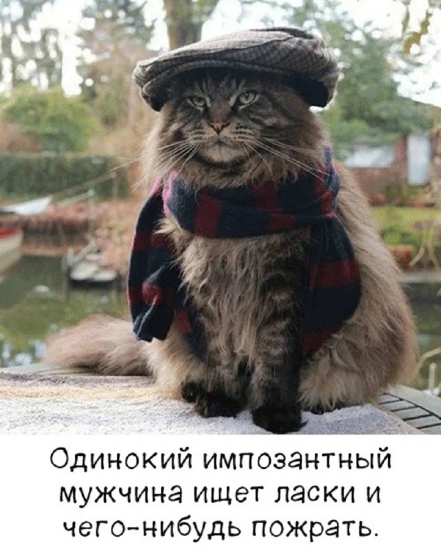 Так себе картинки 28.10.26