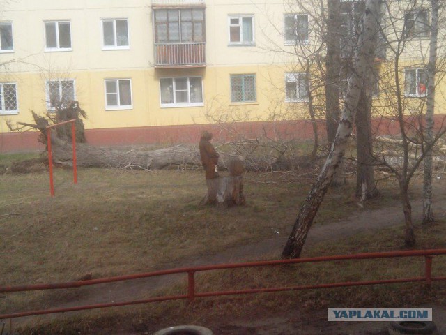 В Омске шторм!