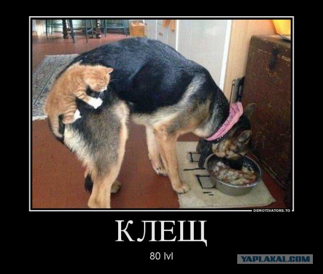 Съездила