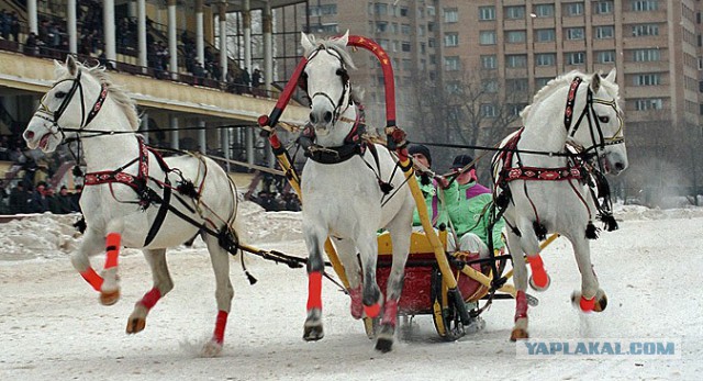 Погода плохая, но мы все-равно вваливаем...