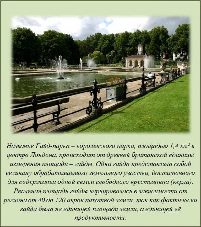 20 фактов обо всем