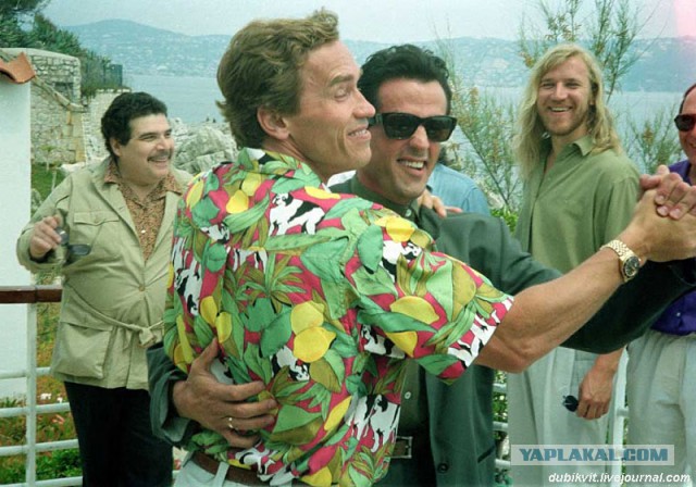 Вечная битва: Сталоне vs Шварценеггер