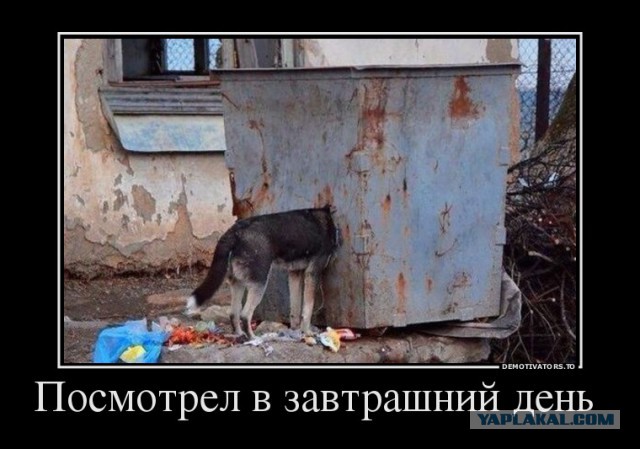 Подборка картинок из соцсетей