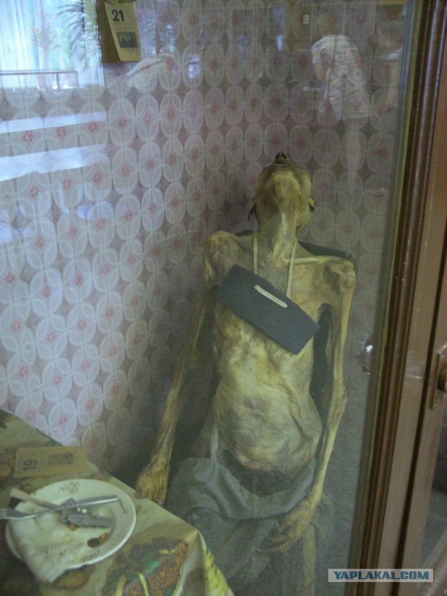 Музей судебной медицины