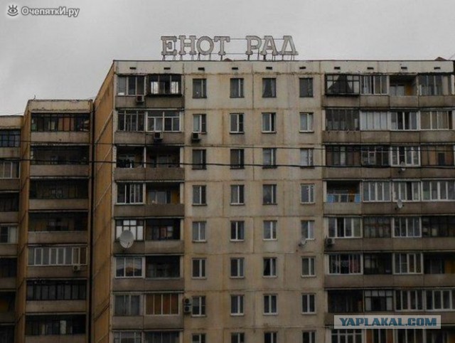 Если стало грустно - купи себе пакет енотов