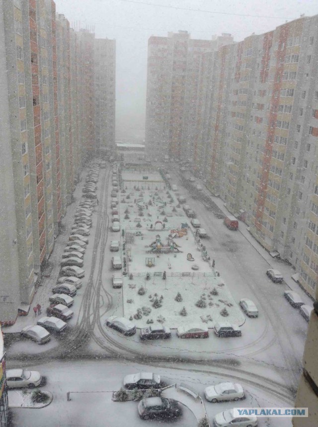 А из нашего окна...