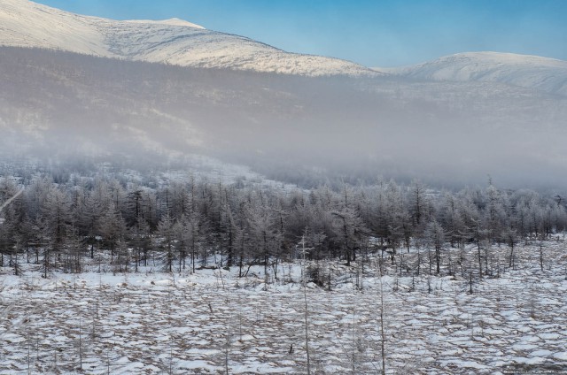 Колыма: первая корюшка 2016, как это было...