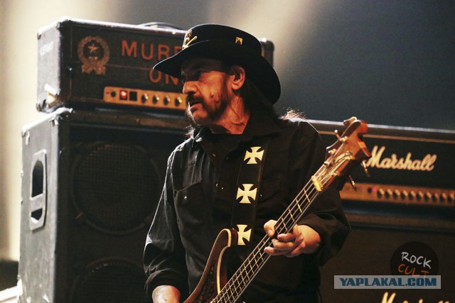 Фото актеров и музыкантов, из которых харизма плещет через край